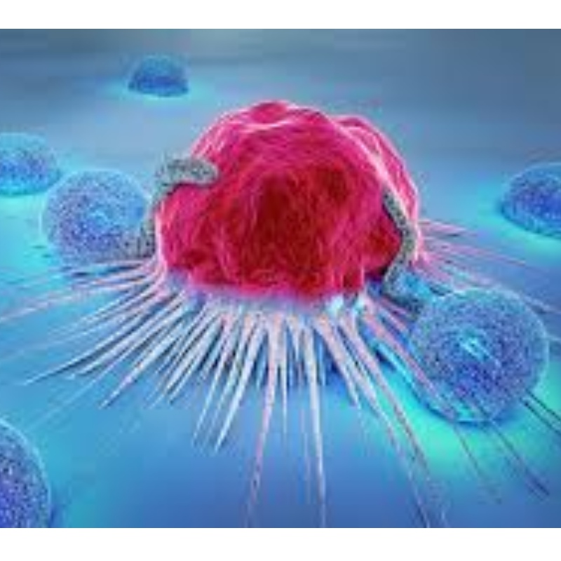Japão: NMN resiste à senescência imune celular e inibe 71,4% de crescimento do tumor